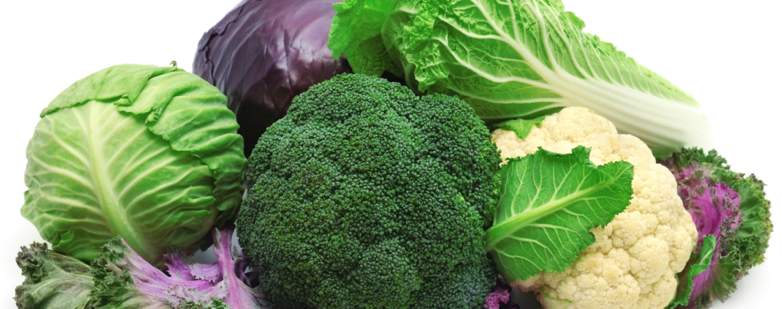 Cruciferas