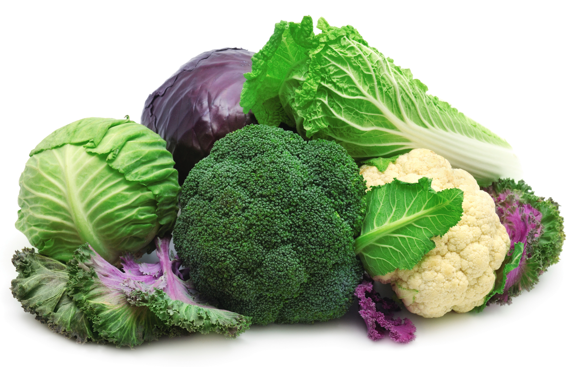 Cruciferas