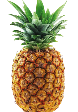 Piña