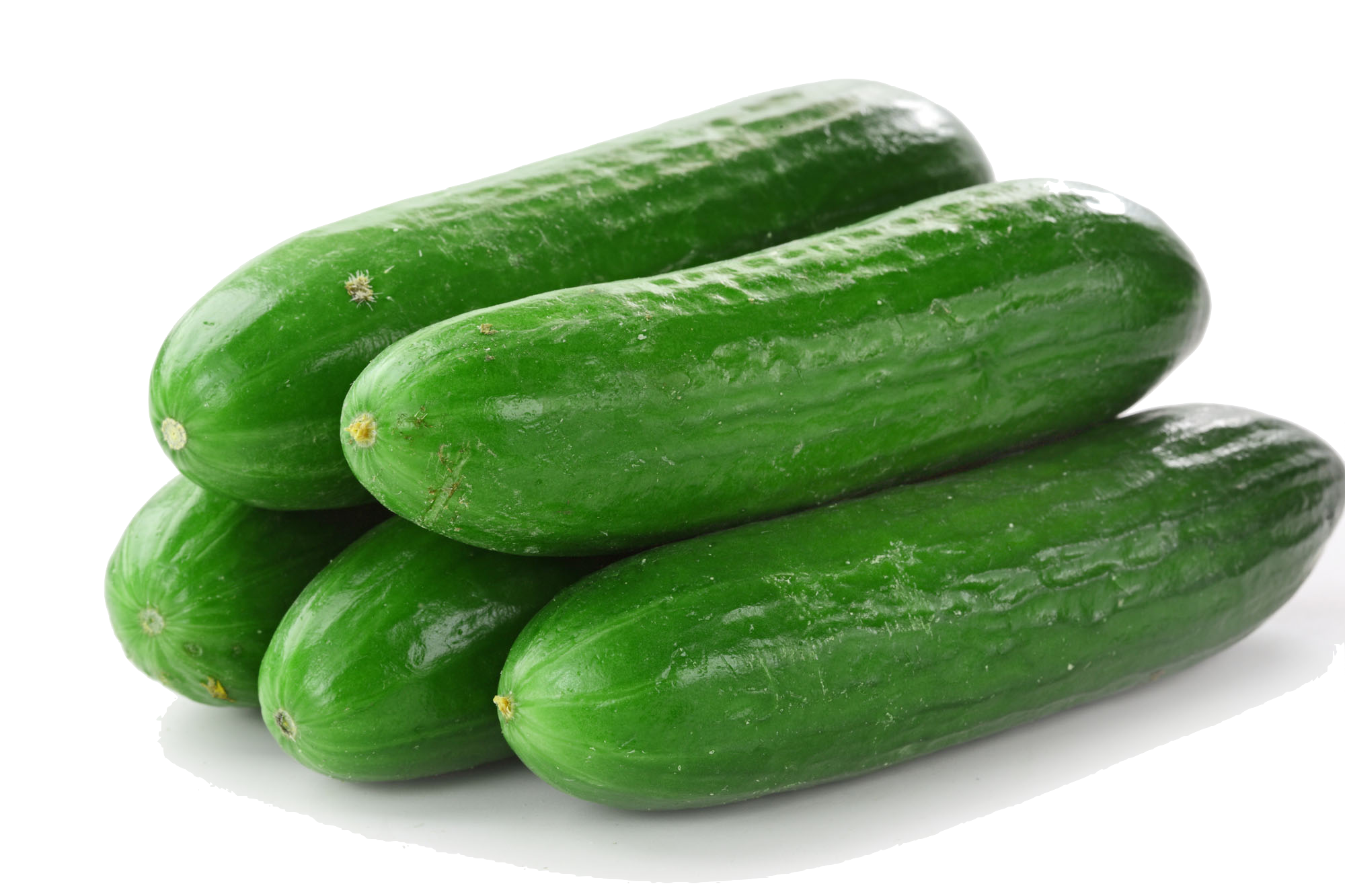 Pepino